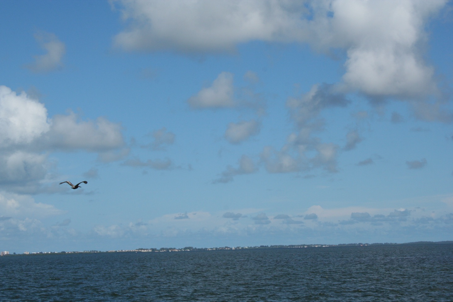 Sarasota Bay near the Cà d’Zan; verified regional setting, not a service job
